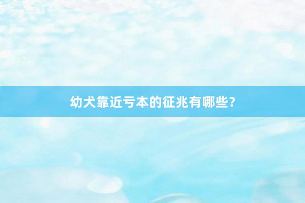 幼犬靠近亏本的征兆有哪些？